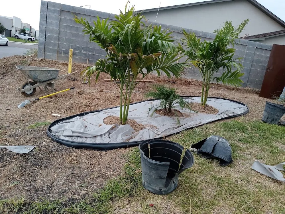 Alvarez landscaping in Laredo, Texas