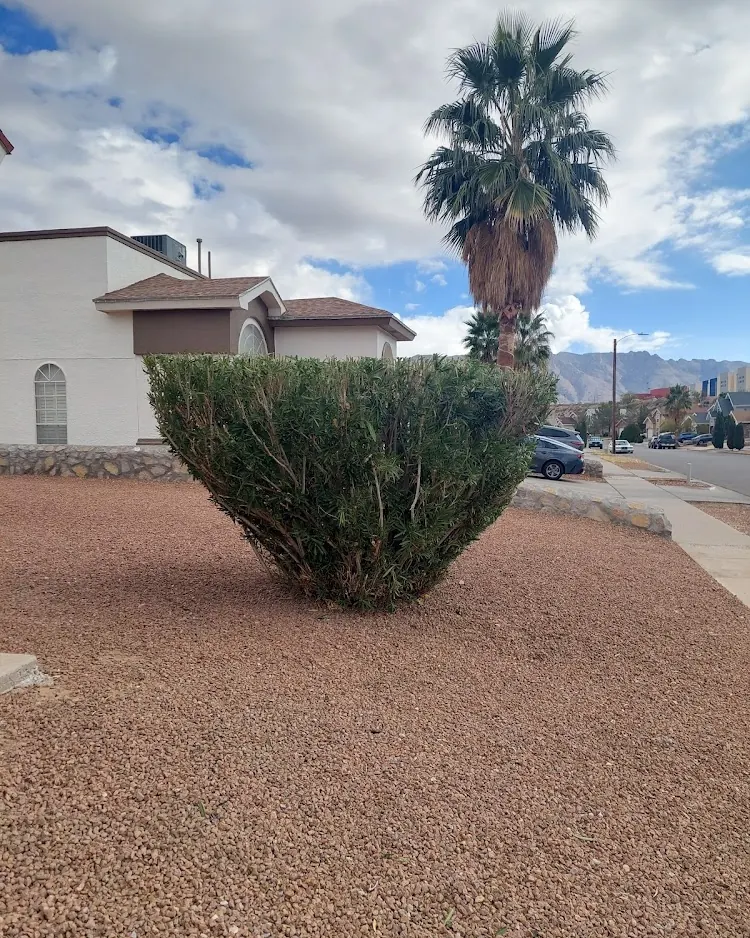 Complete Lawn Care in El Paso, Texas