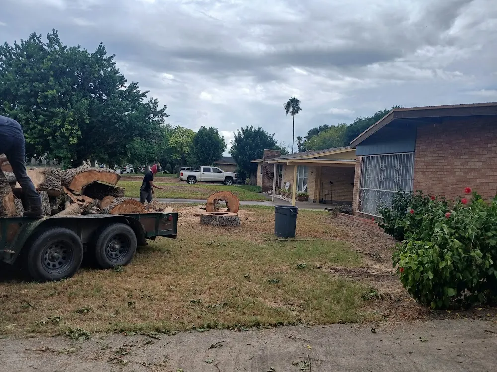 Gordillo Tree Services And Landscaping in Harlingen, Texas
