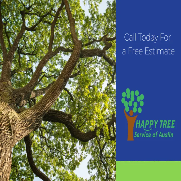 Happy Tree Service of Austin in Austin, Texas