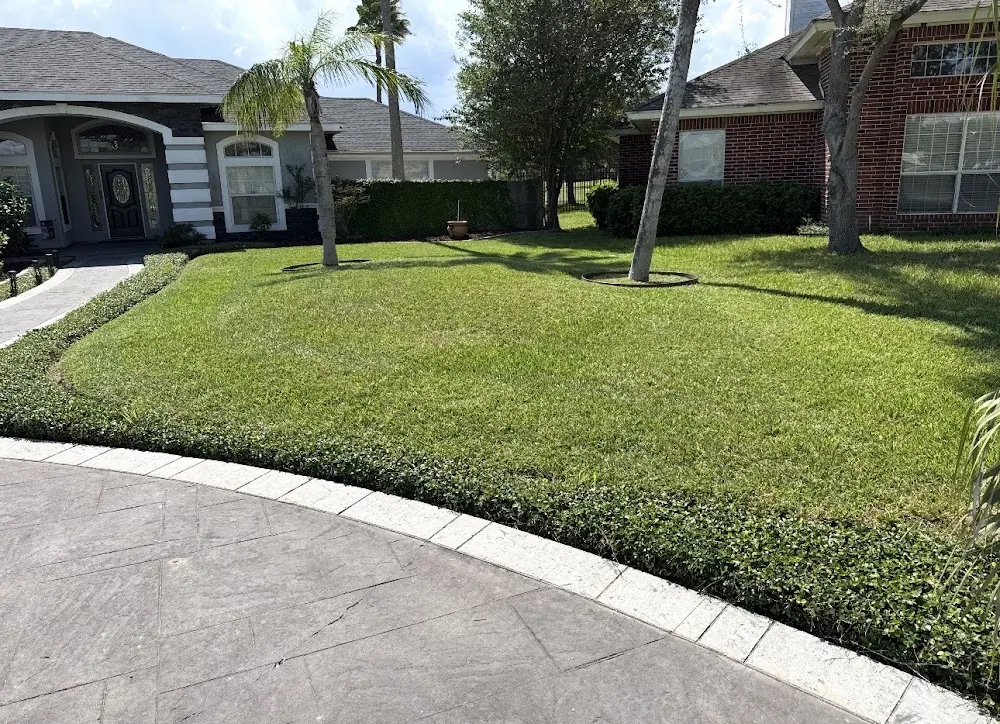 Insane Performance Landscaping in Brownsville, Texas