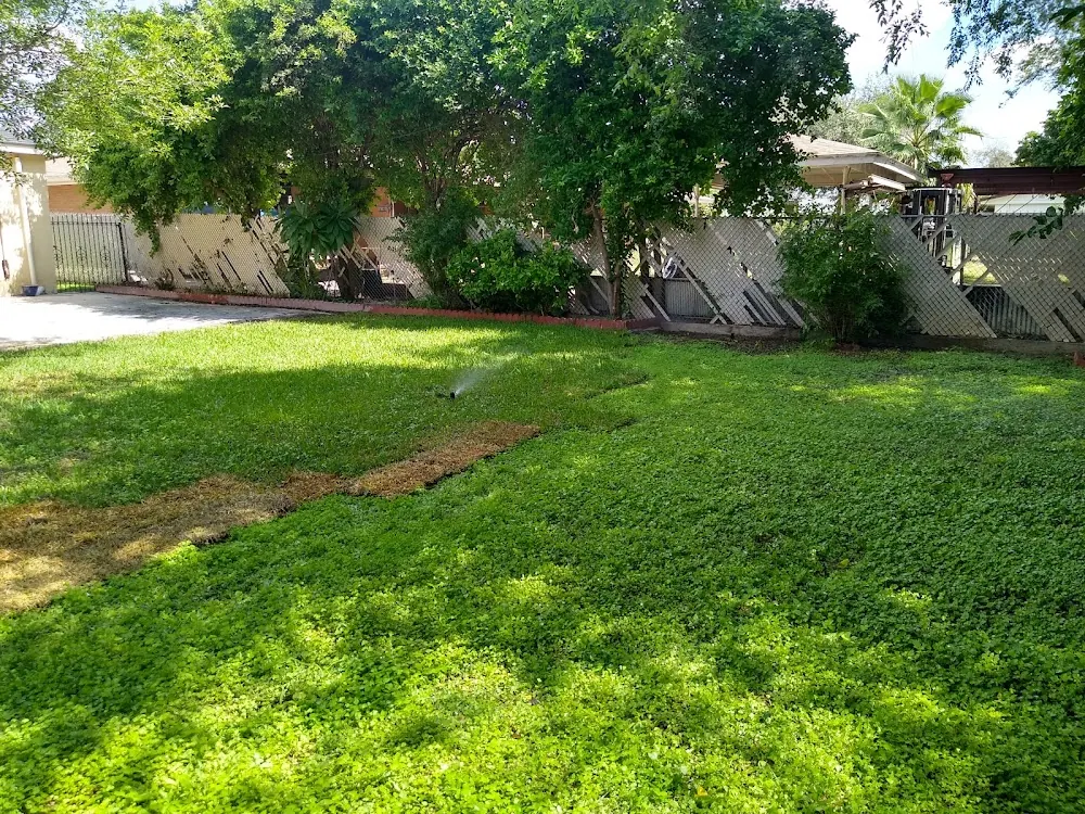 Laredo's Best Landscapers in Laredo, Texas