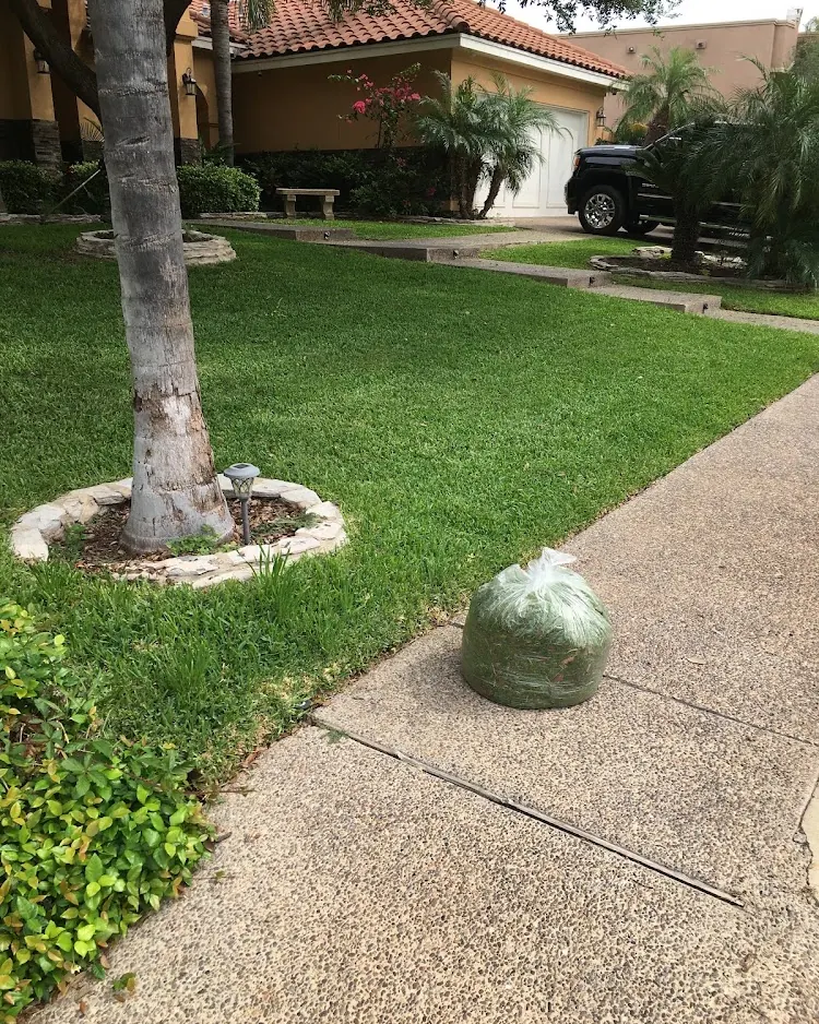 Roman landscaping in Laredo, Texas