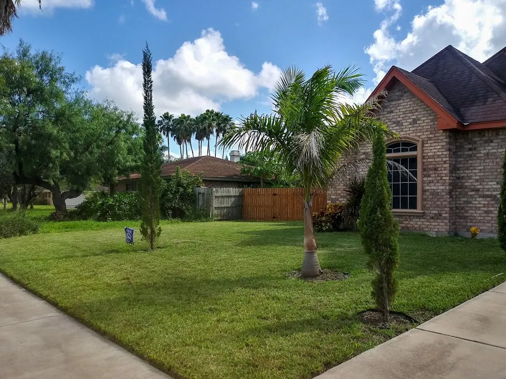 Solid Services Pro Lawn Care in Brownsville, Texas