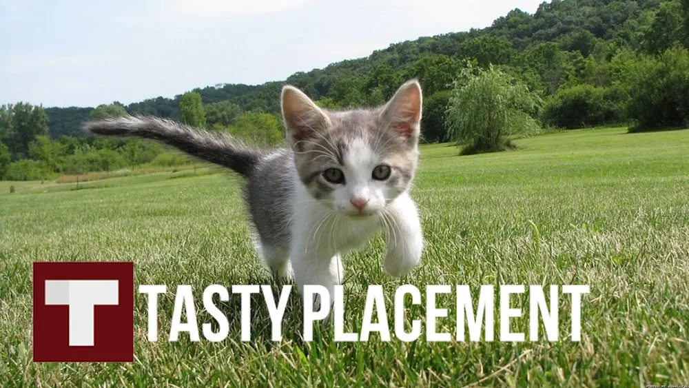 TastyPlacement in Austin, Texas
