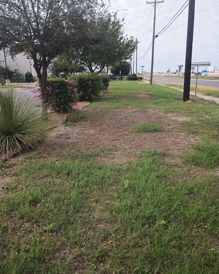 TLC Total Lawn Care LLC in Weslaco, Texas