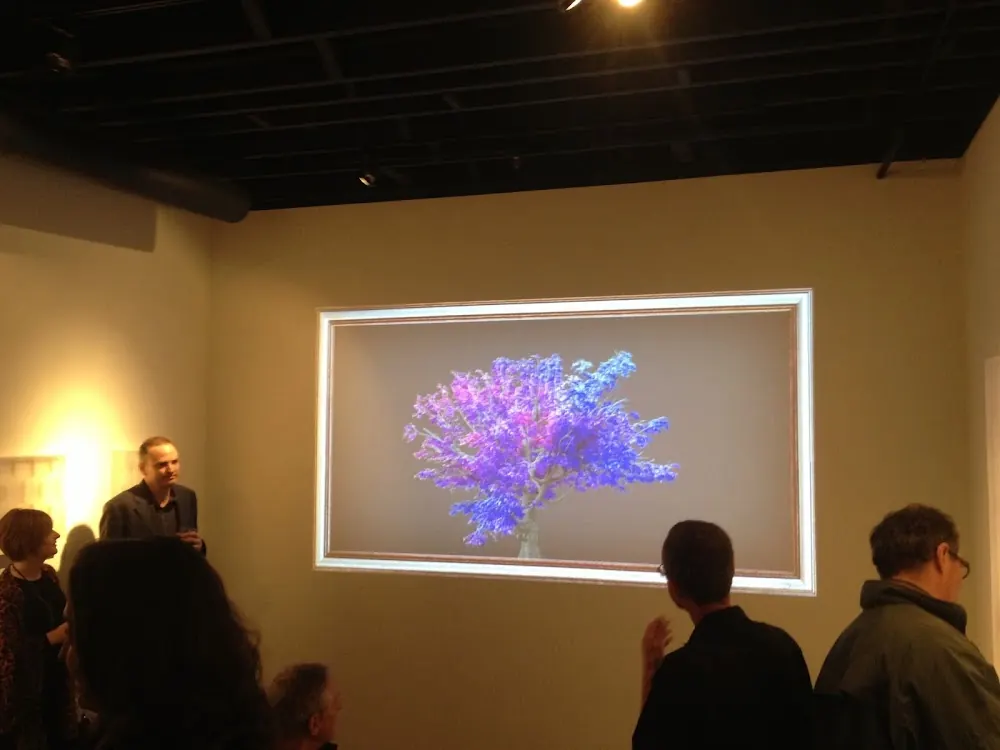 Visual Immersion, LLC in Dallas, Texas