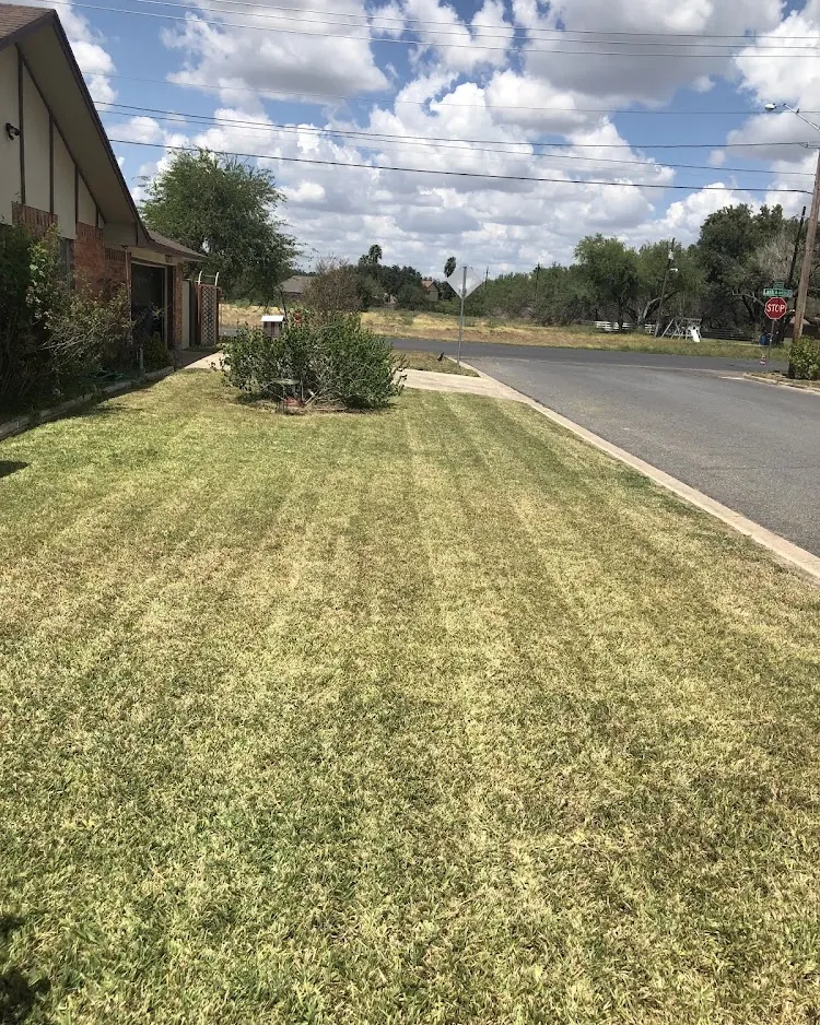 Waldo’s Lawn Care Service LLC in Edinburg, Texas