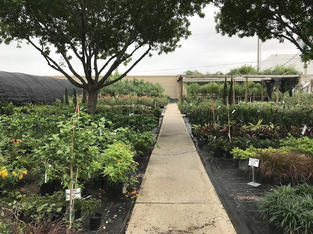 Yardart Garden Center in Laredo, Texas