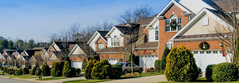 My Neighbors