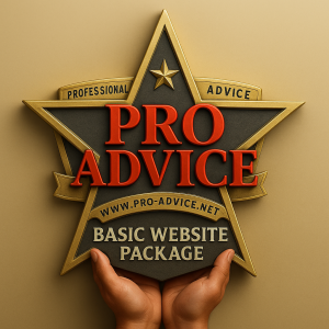 Basic Website Design Package for Texas Businesses displayed on a desktop computer