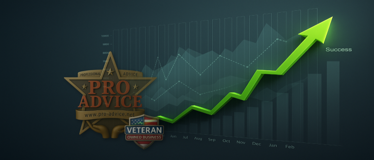 Website design banner for Professional Advice LLC, highlighting business growth and success in Texas