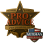 3D Professional Advice LLC logo with gold star, engraved banners, cupped hands, and Veteran Owned Business badge on transparent background for website design and development